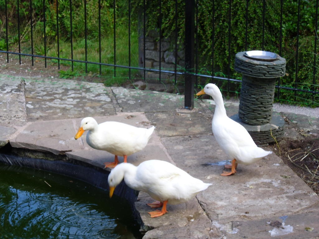Tithe Barn Bed And Breakfast Carnforth Εξωτερικό φωτογραφία